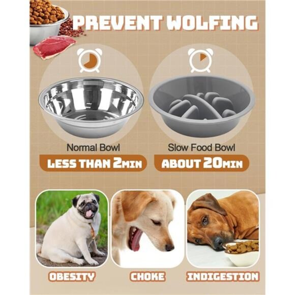 Elevated Dog Bowls, Dog Feeder with 2 Stainless Steel Dishes &1 Slow Feeder - Picture 4 of 7